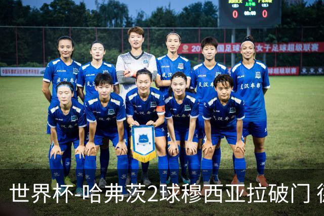世界杯-哈弗茨2球穆西亚拉破门 德国全面开花7-1库拉索